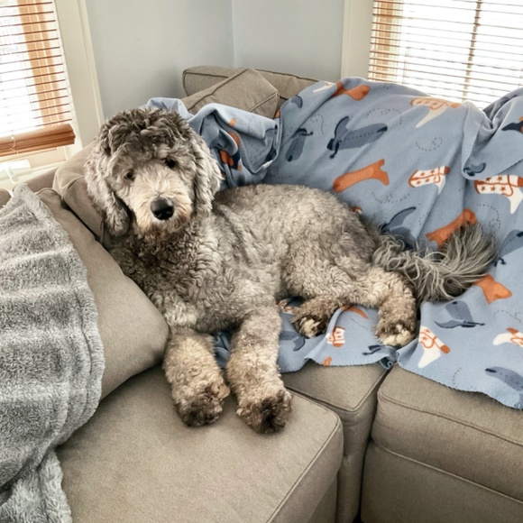 Meet the Posher - Picture 6 of 7